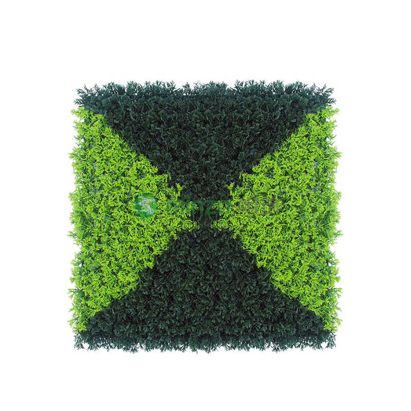 深綠淺綠小柏樹(shù)葉