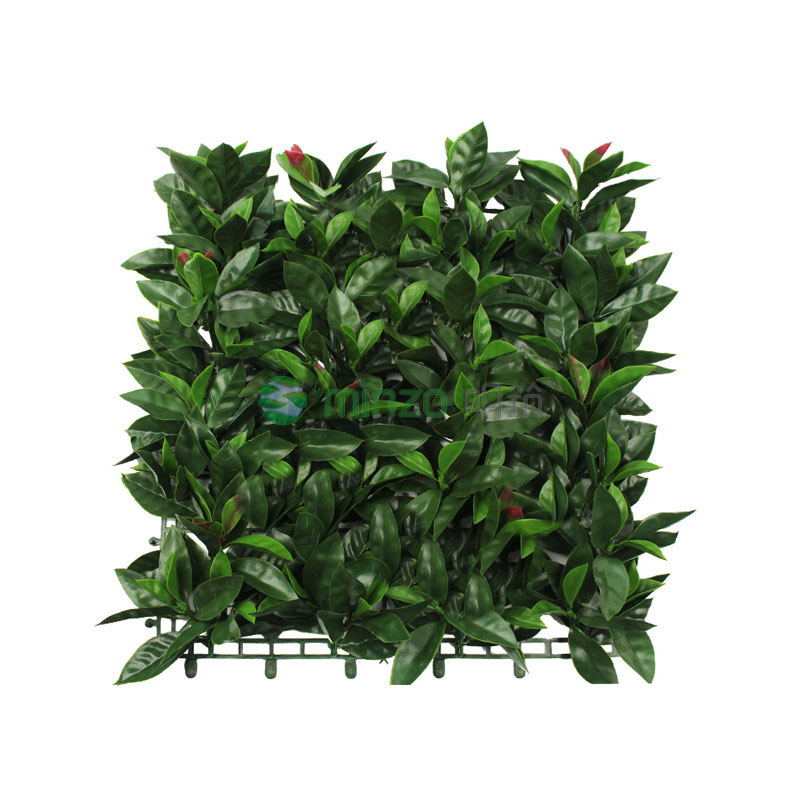 紅葉石楠(新網)