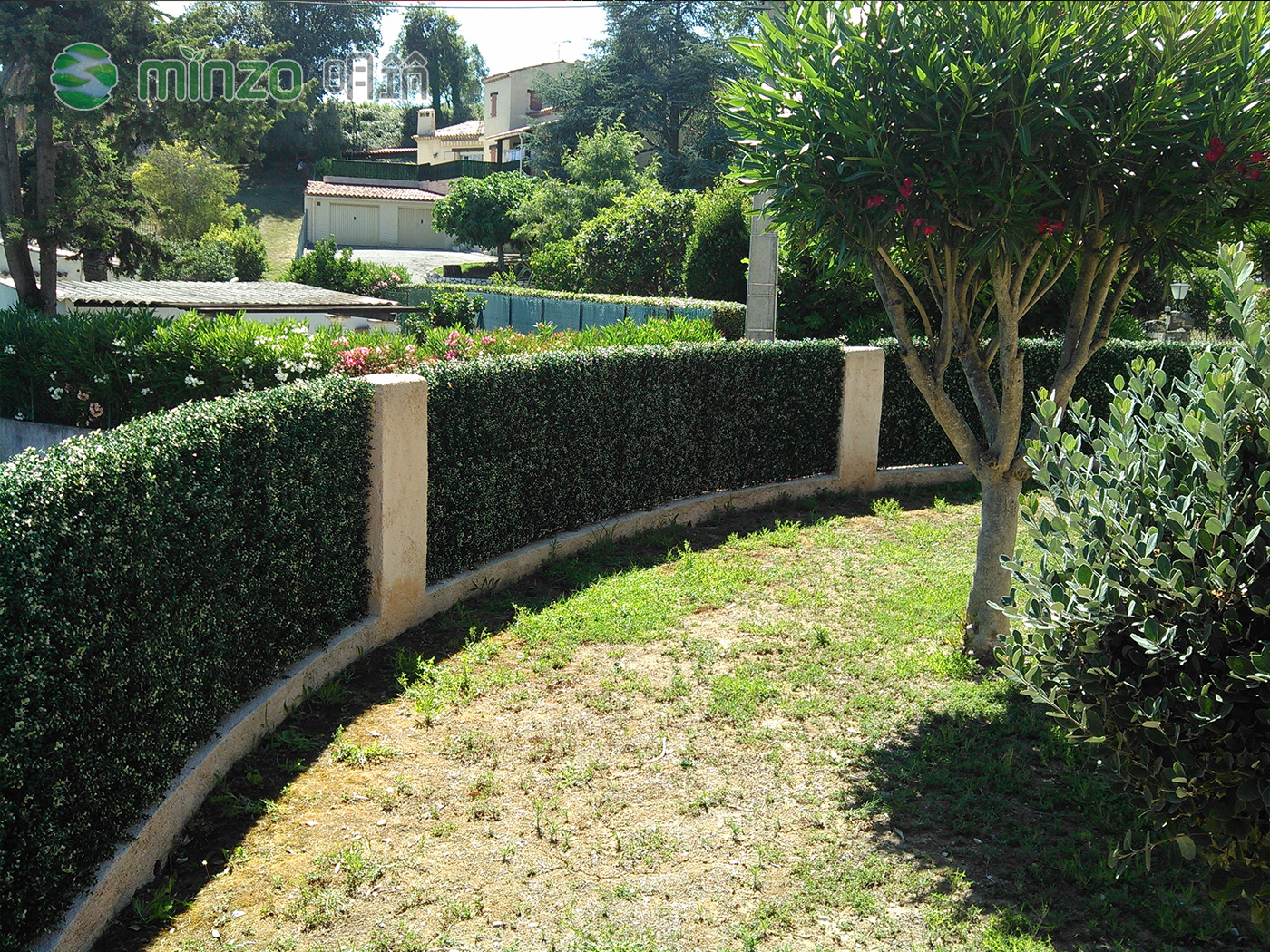 還在擺盆栽？仿真植物讓生活貼近自然